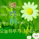 지금보다 아름답게