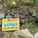 보현민박오토캠핑장 이미지