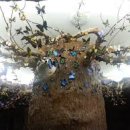 반디공원 이미지