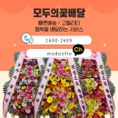 모두의 꽃배달 네이버블로그