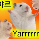 후루팝