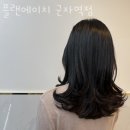 능동미용실 플랜에이치 군자역점 가격 위치 영업시간