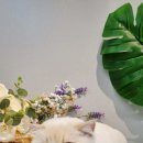 러브펫살롱 이미지