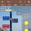 다잡아낚시슈퍼 | 여수 붉바리, 쏨뱅이 워킹 낚시 조과
