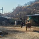 용암농장 이미지