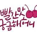 수요일꽃집