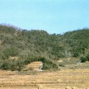 전고령가야왕릉 이미지