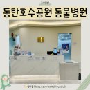 호수동물병원 | 강아지 진료 잘 보고 친절해서 추천하는 2동탄 호수공원 동물병원
