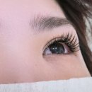 네일도;속눈썹 | 수원속눈썹 영통·매탄동 속눈썹연장 네일도속눈썹 내돈내산 후기~