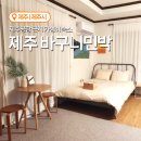 황제민박 이미지