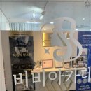 비비테라 이미지