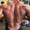 웰니스 트레이닝 스튜디오 이미지