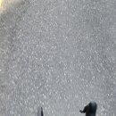 구천동농협 구천지점 이미지