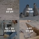 큐브 세탁 이미지