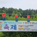 광릉 봉선사 연꽃 축제... 2024/07/19(금) ~ 07/21(토)... 이미지