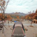 느티나무어린이공원 화장실 이미지