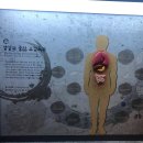 대구약령시한의약박물관 이미지