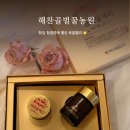 해찬골벌꿀 명품 로얄젤리 ㅣ 암에 좋은 로열젤리 추천 ㅣ 피부에도 좋음