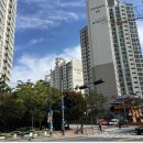 글꽃초교 | 🔥 떡상각? 대전 문화동 센트럴파크 2단지 vs 3단지, 어디가 진짜 대장일까? (feat. 임장 후기)