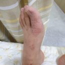 금호튼튼한의원 이미지