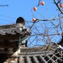 정병호농장 이미지