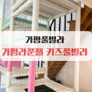 라푼젤키즈풀빌라 | 가평 키즈펜션 라푼젤키즈풀빌라_가평 달맞이빵 내돈내산 후기