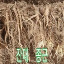 이상백농장 이미지