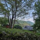 모악산도립공원 | 모악산 등산 코스 최단 코스 100대 명산 모악산 도립공원 등산 후기