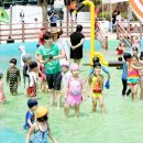 서산종합운동장 충남일보