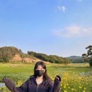 푸르미르 관광농원 이미지