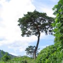 거문산(543.4m)과 문래봉(512m), 아홉산(359.9m)이어가기... 이미지