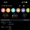 토리짐