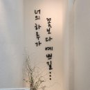 바바네일 이미지