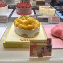 투썸 | 투썸 망고생 케이크 생생후기💛