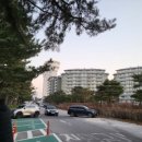 라카이샌드파인