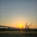 삼락생태공원 오토캠핑장 이미지