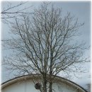 강진약국 이미지