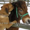 멘트