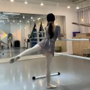 예원발레학원 이미지