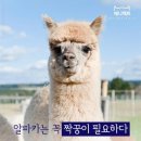 비타민독서실 이미지