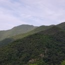 금수탕 이미지