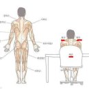 코리아 랜도너스 네이버블로그
