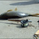 토요일, 일요일 이미지