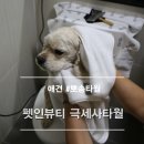 뽀송뽀송펫뷰티 이미지
