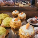 올래퍼피 이미지