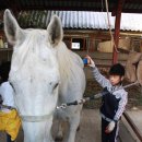 진부초등학교 이미지