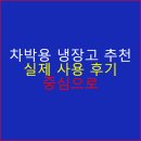 차박용 냉장고 추천 실제 사용 후기 중심으로