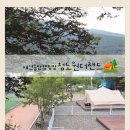 청도군-5 | 반려견과함께 청도 원더랜드 4박 5일 추석 캠핑 후기 (데크 🏕)
