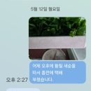 새순 이미지