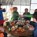 신영식농장 이미지